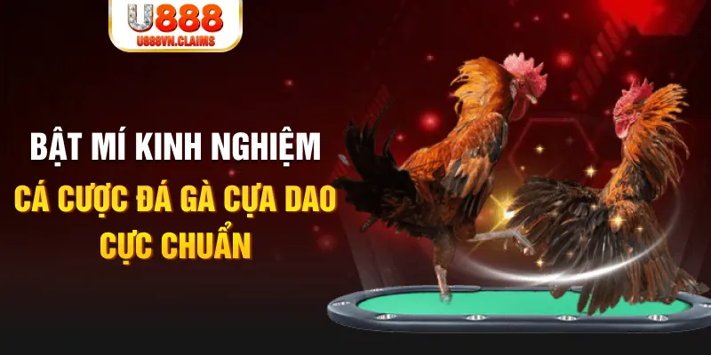 casino 5m trong baccarat, ai là người chia bài chính？