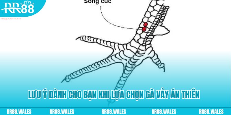 casino 5m how to play roulette at casino