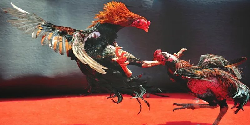 casino 5m đăng nhập nổ hũ số 1