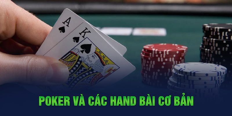 casino 5m c1 gà chọi