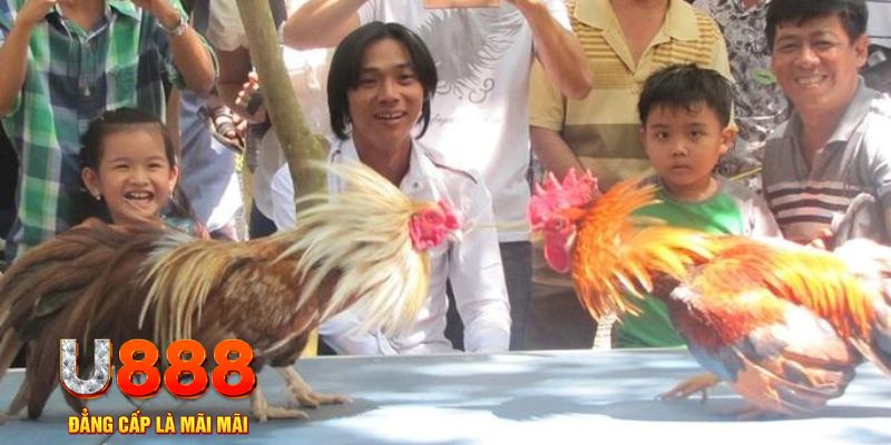 casino 5m mơ thấy nổ hũ đánh con gì