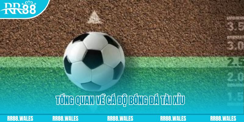 casino 5m JDB Điện Tử