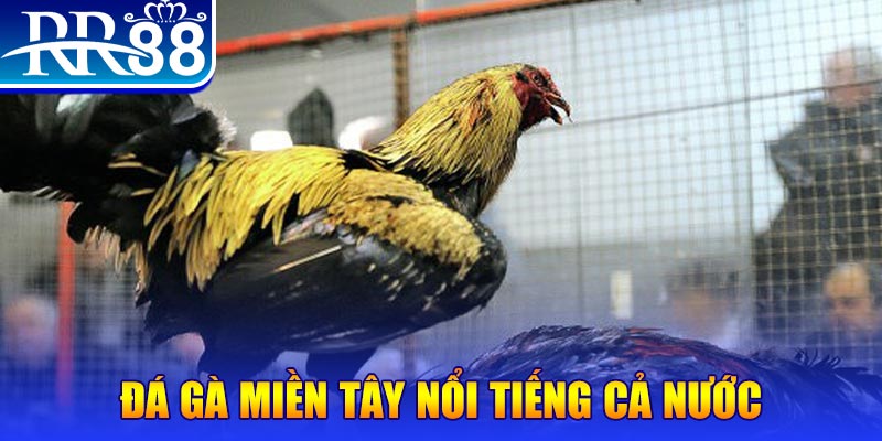 casino 5m đăng nhập liêng miễn phí