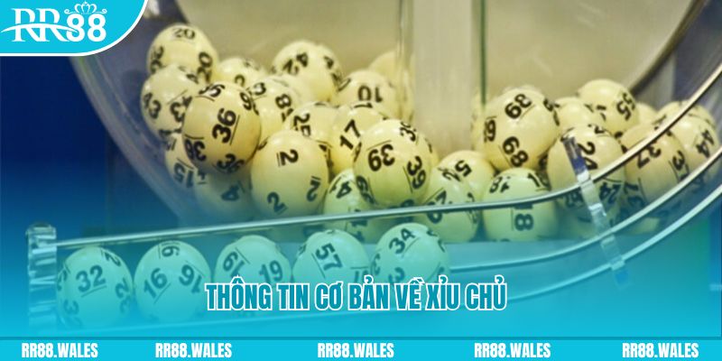 casino 5m baccarat long bảo là gì