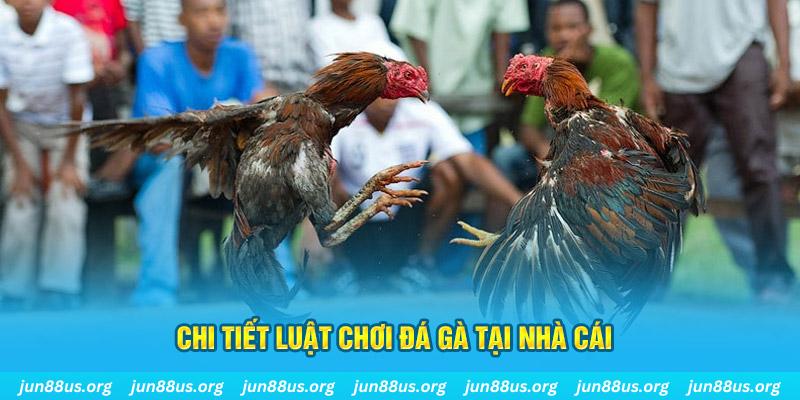 casino 5m đá gà campuchia