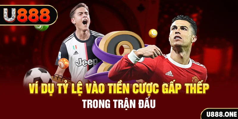 casino 5m trực tiếp đá gà c3