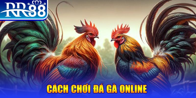 casino 5m slot là cái gì
