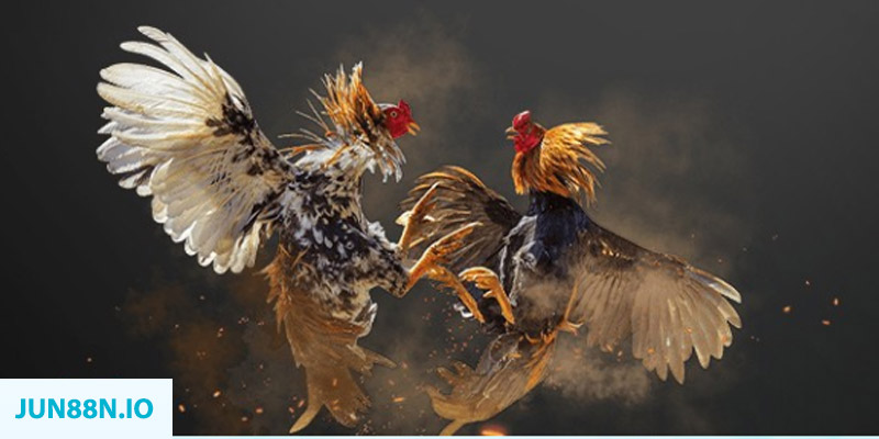 casino 5m bắn cá long vương