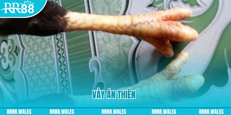 casino 5m who wants to be a millionaire slot