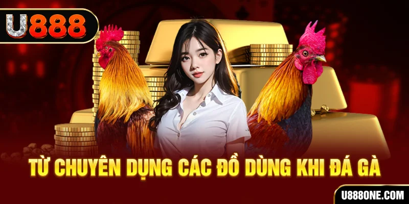 casino 5m BSP Bắn cá
