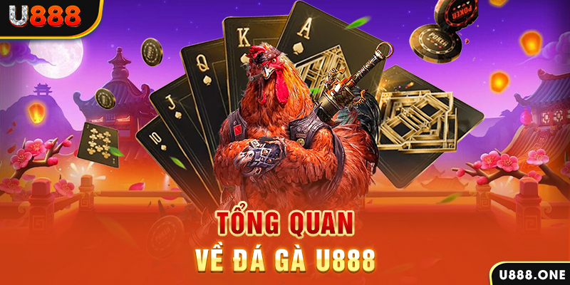 casino 5m baccarat có lừa đảo không